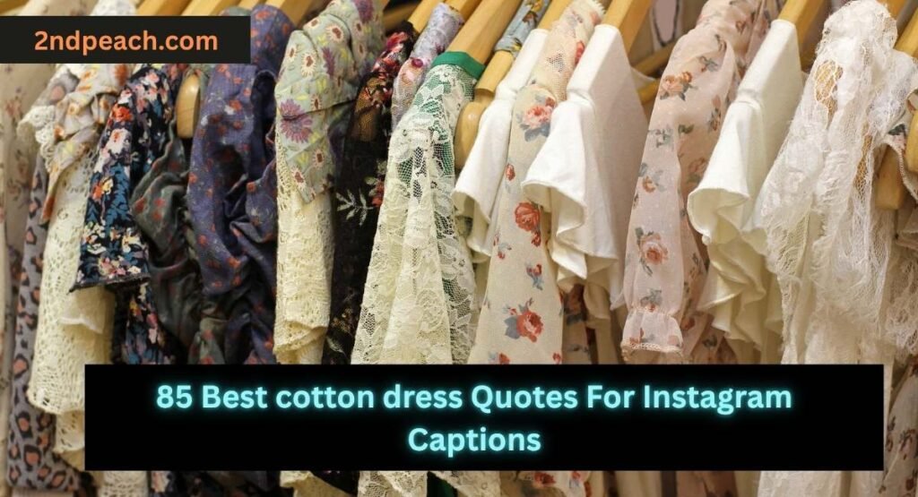 cotton dress Quotes